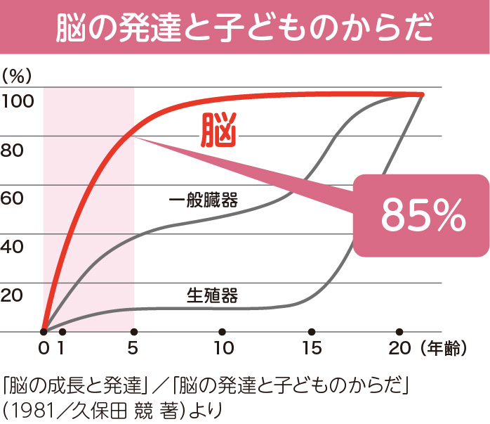 脳の発達と子どものからだ